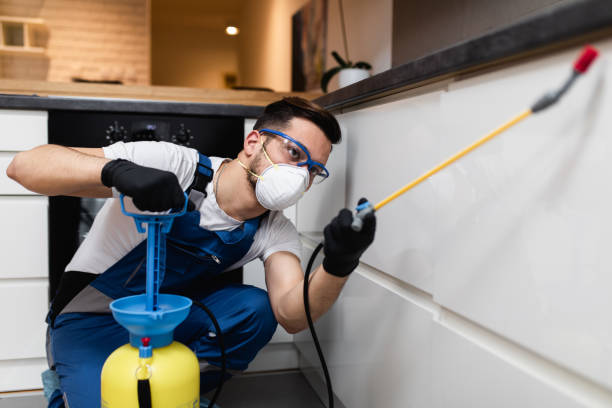 Best Flea Control Services  in Silsbee, TX