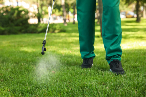 Best Flea Control Services  in Silsbee, TX