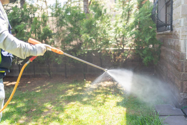 Best Wildlife Control Services  in Silsbee, TX